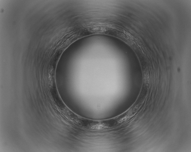 X0000057090460200509301555