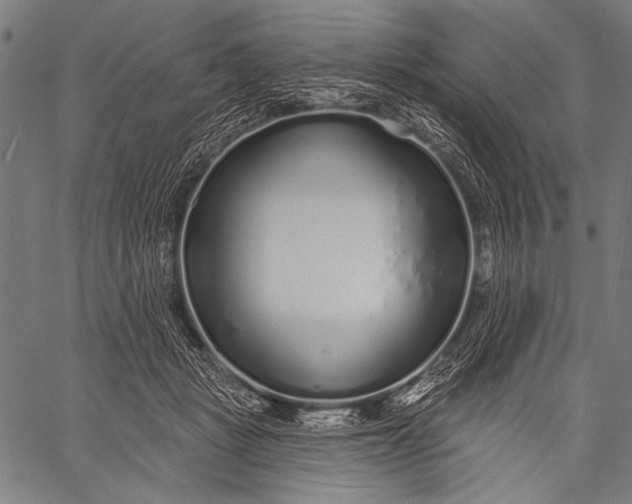 X0000057090461200509301555