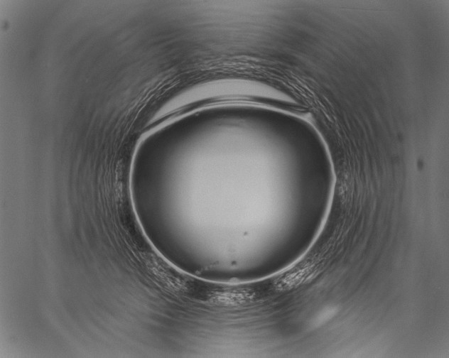 X0000057090466200509301555