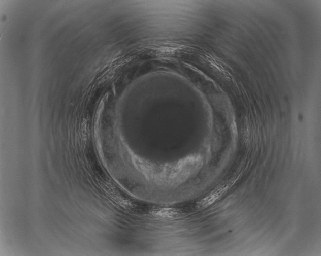 X0000057090467200509301555