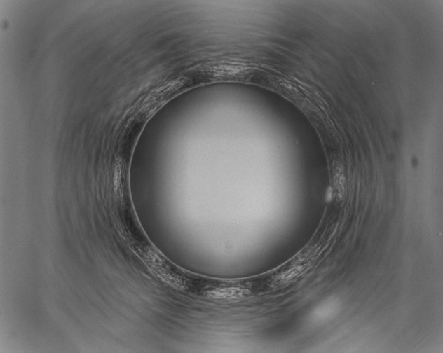 X0000057090468200509301555