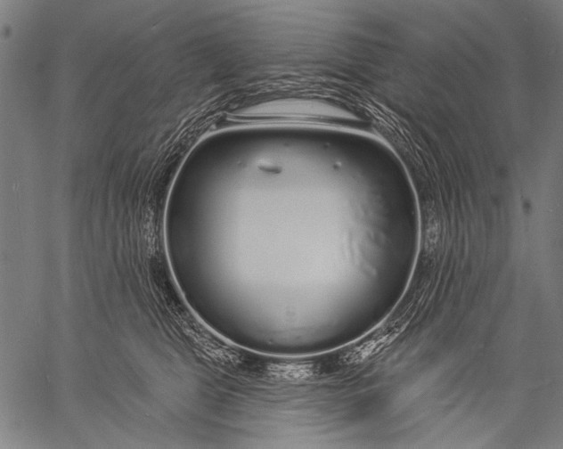 X0000057090469200509301555