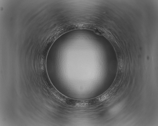 X0000057090470200509301555