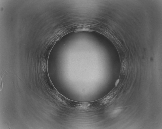 X0000057090474200509301555