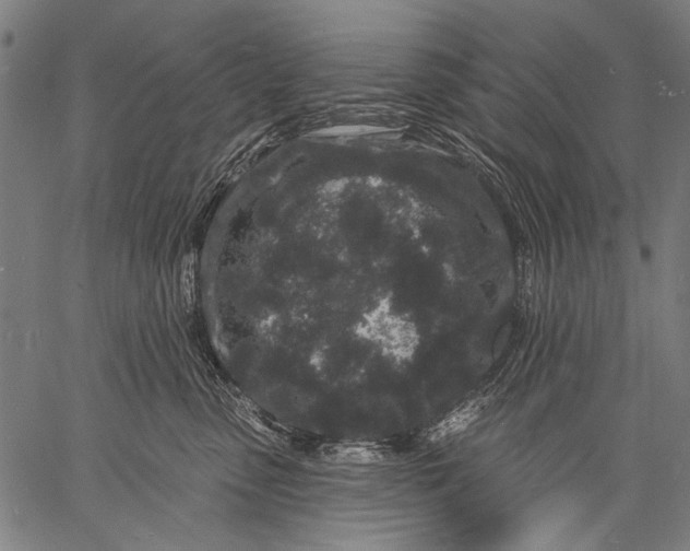 X0000057090475200509301555