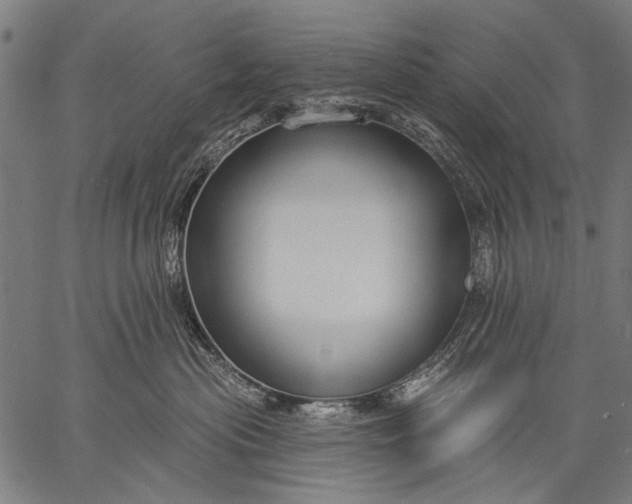 X0000057090477200509301555