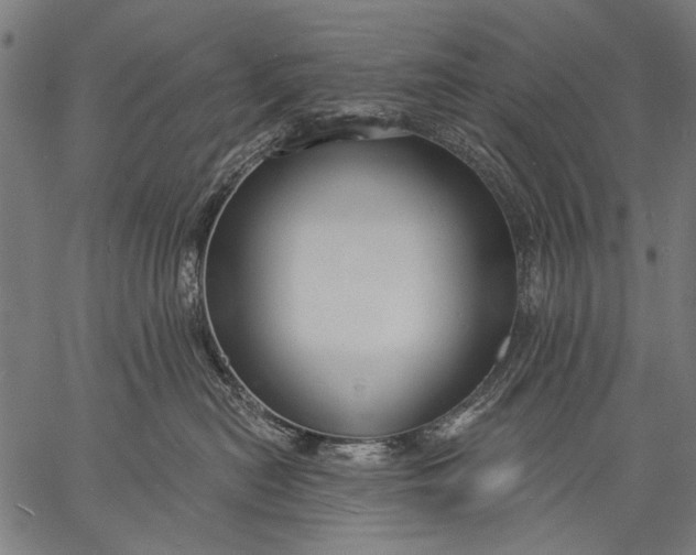 X0000057090478200509301555