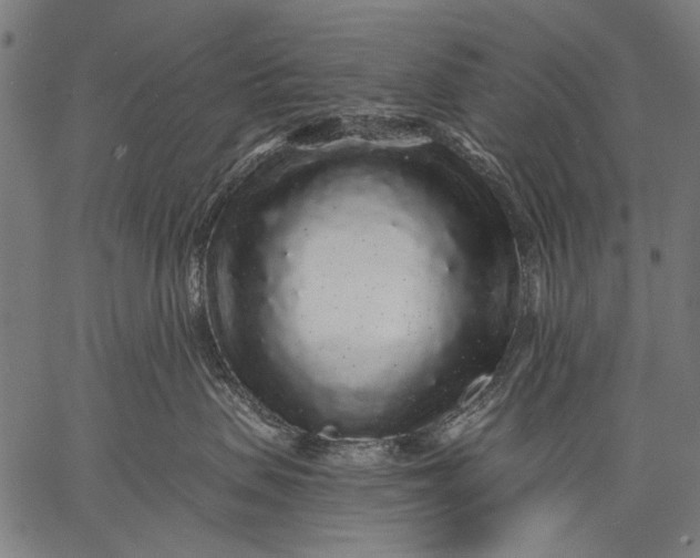 X0000057090479200509301556