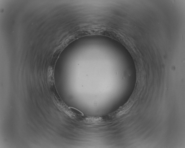 X0000057090480200509301556