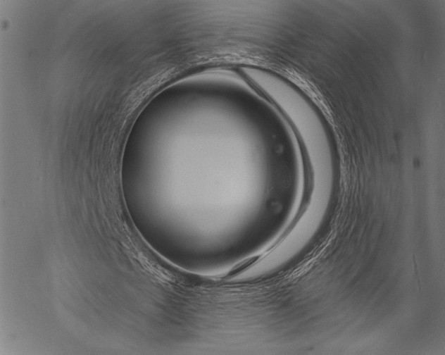 X0000057090481200509301555