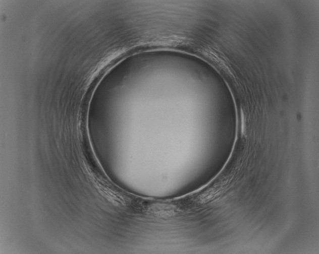 X0000057090483200509301555