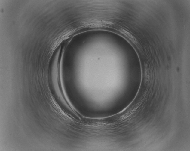 X0000057090485200509301555