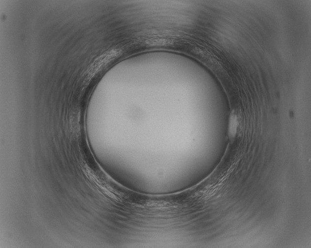 X0000057090490200509301555