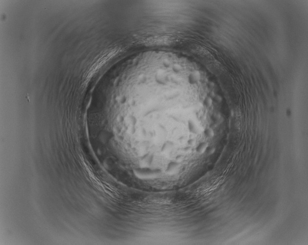 X0000057090491200509301555