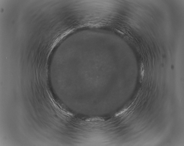 X0000057090492200509301555