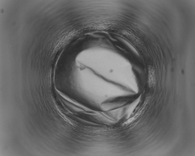 X0000057090493200509301555