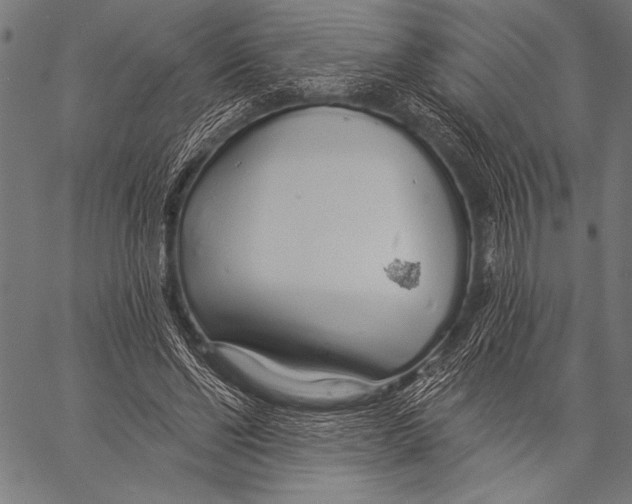 X0000057090494200509301555