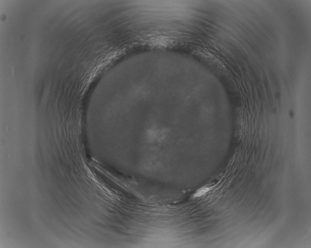 X0000057090496200509301554