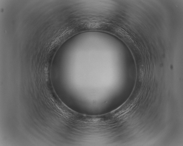 X0000057090497200509301554