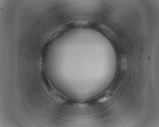 X0000057090498200509301554