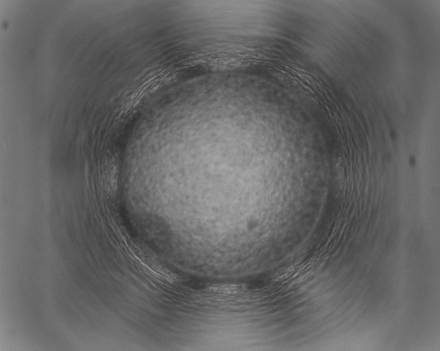 X0000057090499200509301554