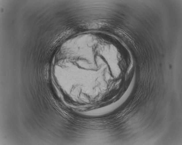 X0000057090501200509301554