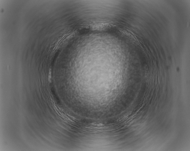 X0000057090502200509301554