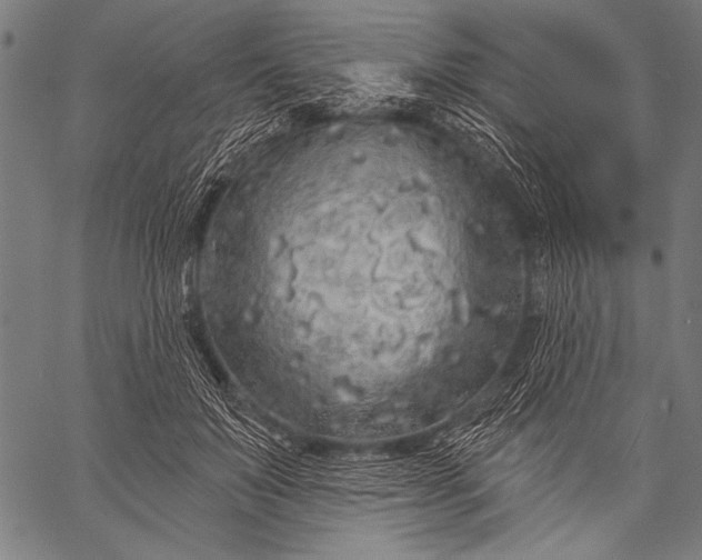 X0000057090503200509301554