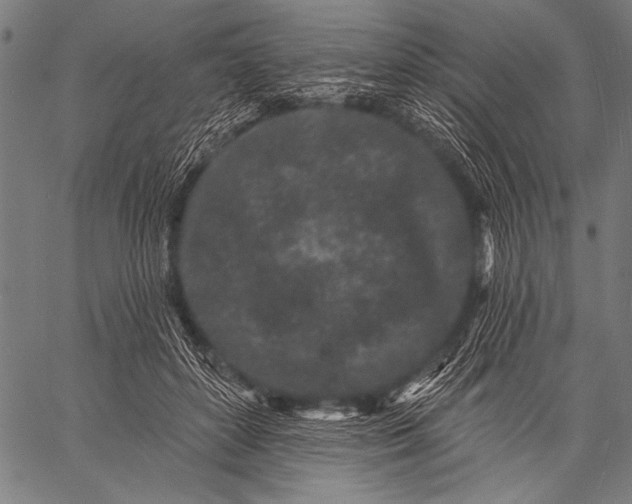 X0000057090504200509301554