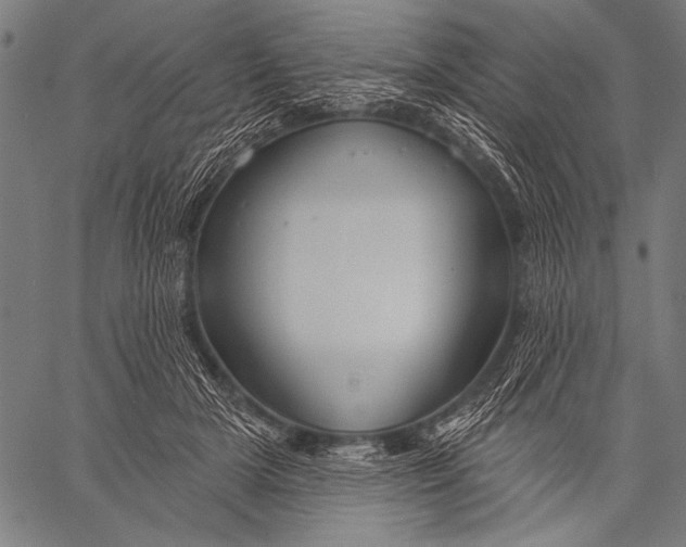 X0000057090505200509301554