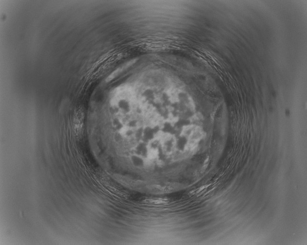 X0000057090507200509301554