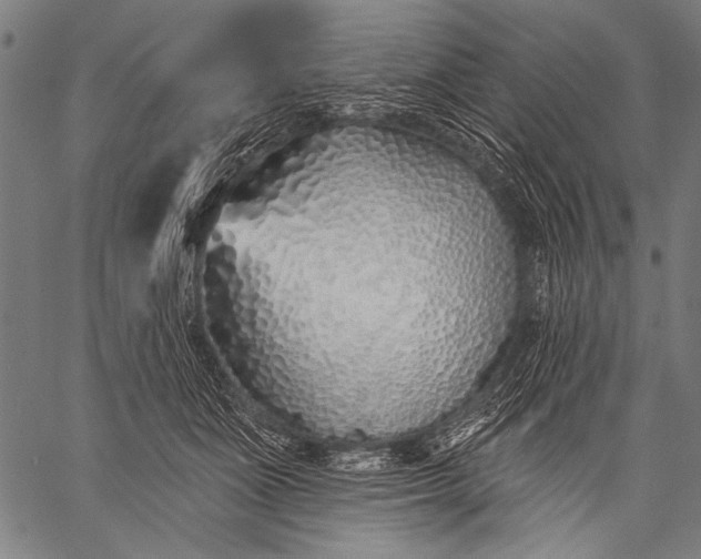 X0000057090511200509301554