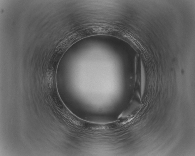 X0000057090513200509301554