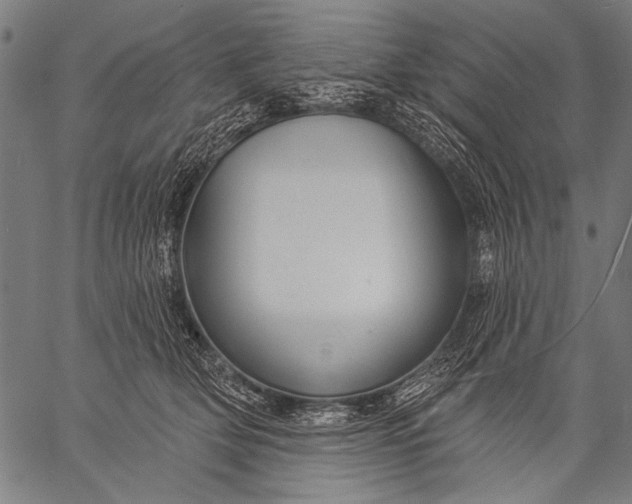 X0000057090514200509301554