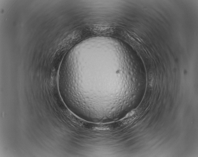 X0000057090515200509301554