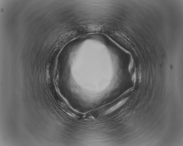 X0000057090516200509301554