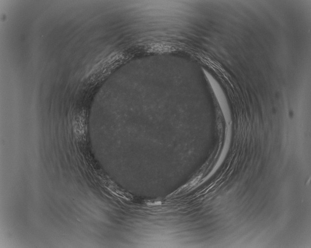 X0000057090517200509301554