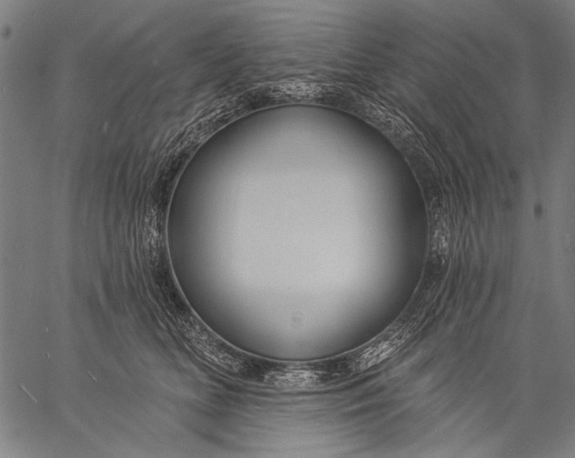 X0000057090518200509301554