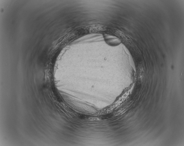 X0000057090519200509301554