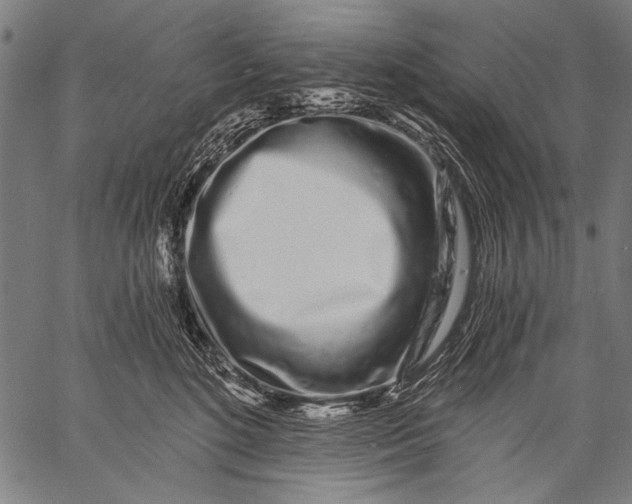 X0000057090520200509301554