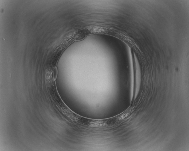 X0000057090521200509301554