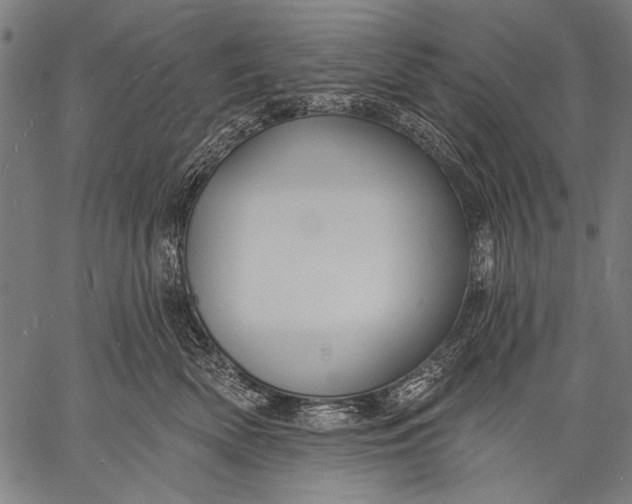 X0000057090522200509301554