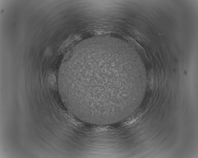 X0000057090523200509301554