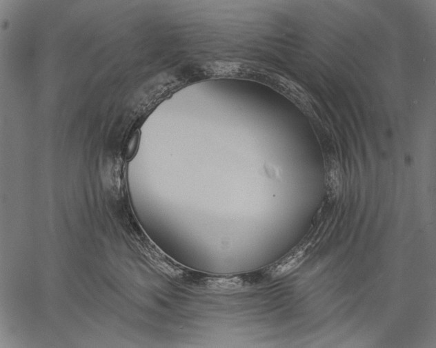 X0000057090525200509301554