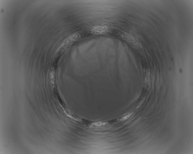 X0000057090526200509301554