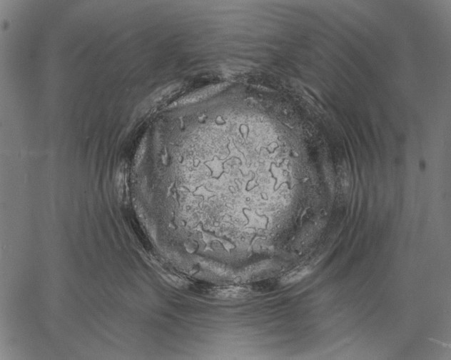 X0000057090527200509301554