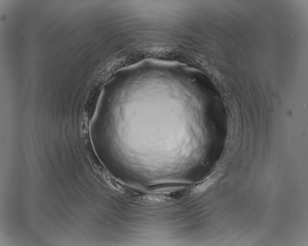 X0000057090528200509301554