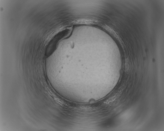 X0000057090529200509301553