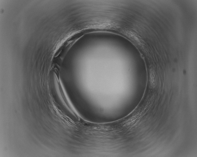 X0000057090532200509301553