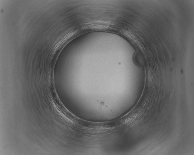 X0000057090533200509301553